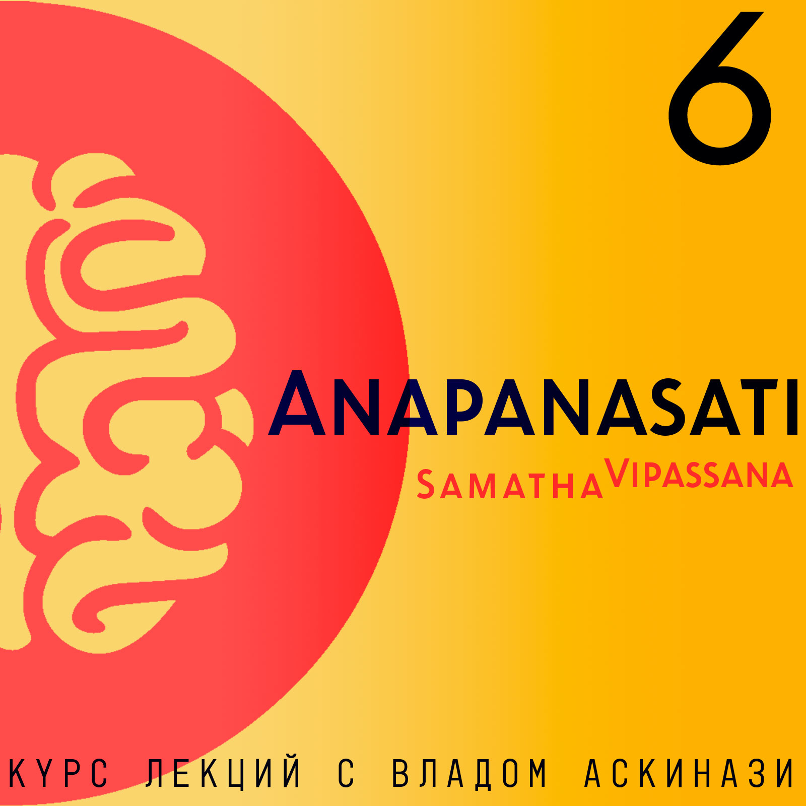 S5.ep.6 Anapanasati Samadha-Vipasana (курс лекций)