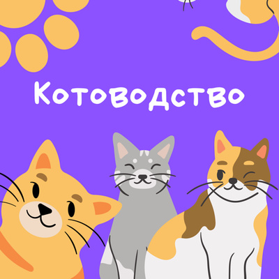 Как подружить двух кошек и помочь животному в стрессе: с зоопсихологом Настей Крамаренко