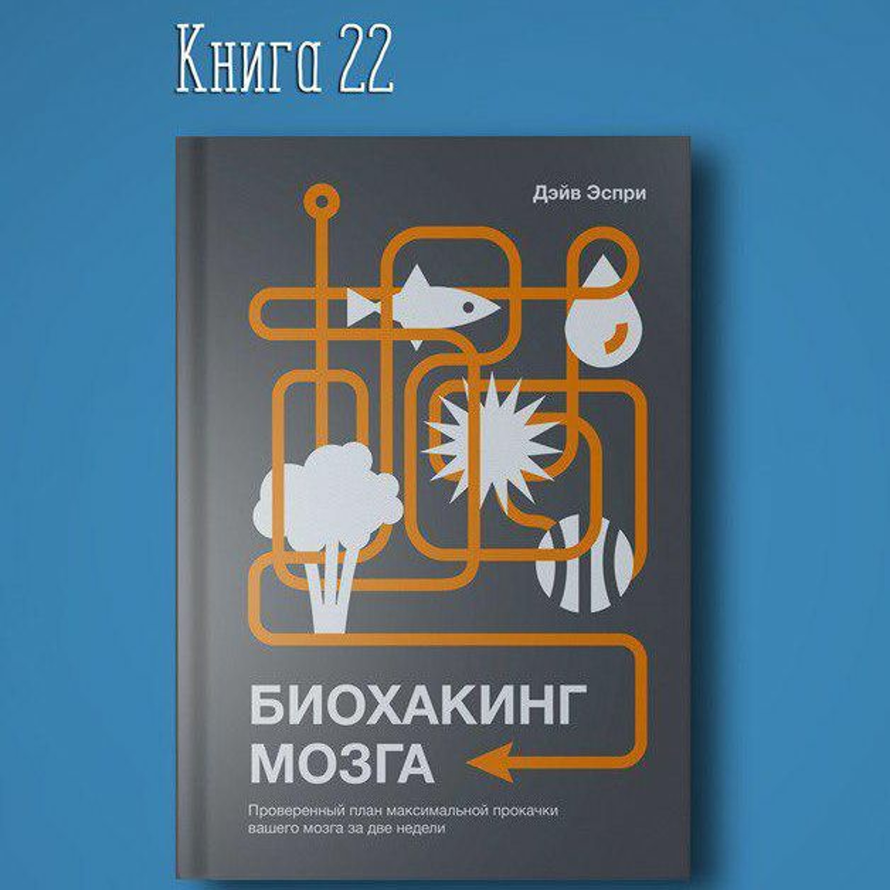 Книга #22 - Биохакинг мозга. Проверенный план максимальной прокачки вашего мозга за две недели. Ум