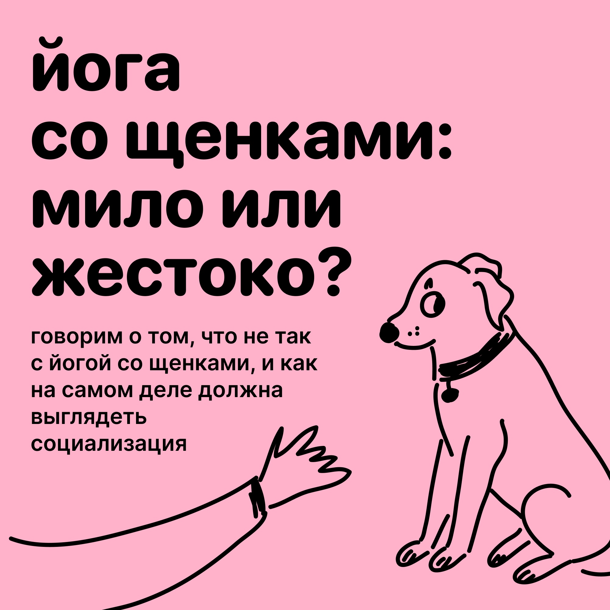 Пёсьи матери | Это не любовь, а проблема с привязанностью. Выпуск о  сепарационной тревоге и страхе одиночества.