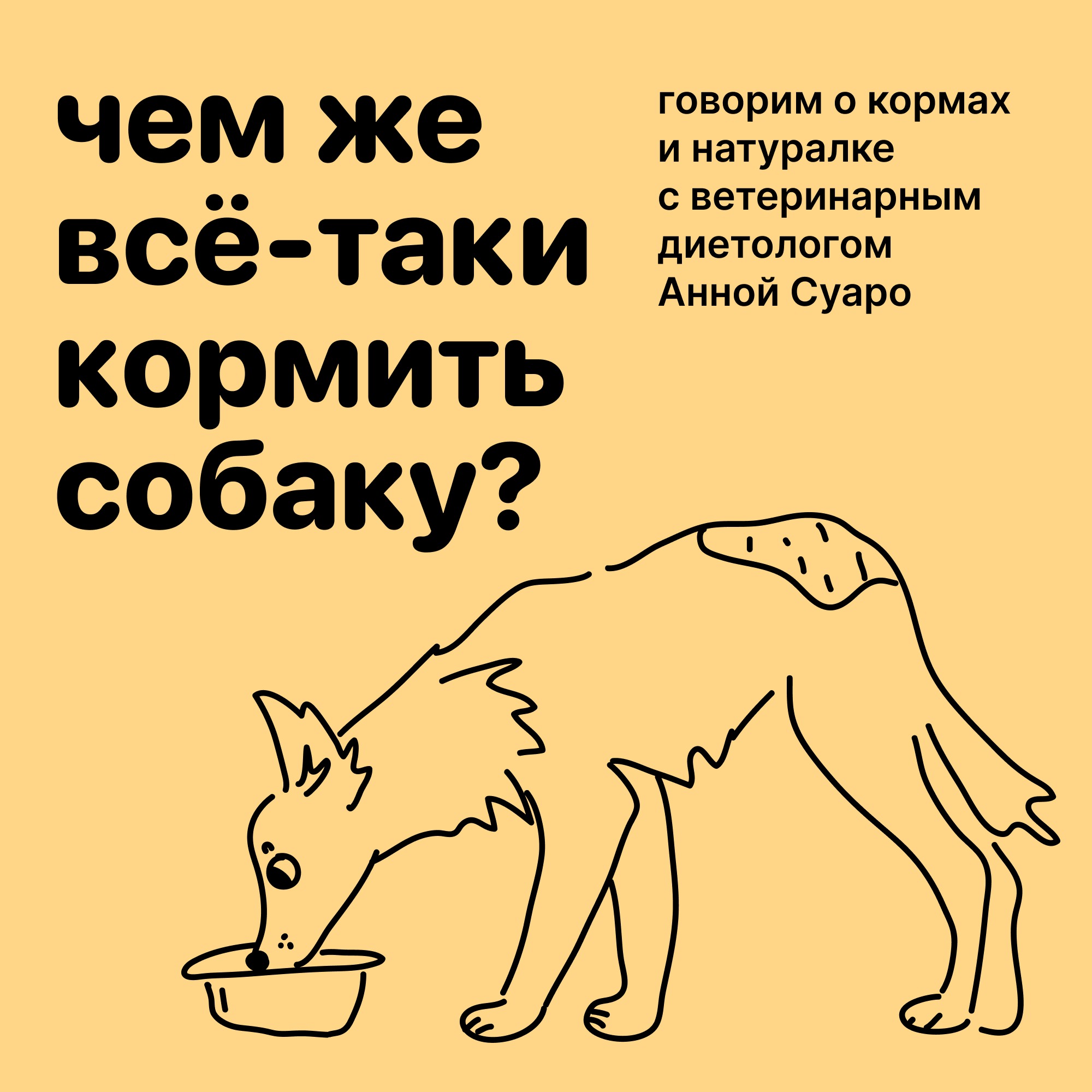 Пёсьи матери | Это не любовь, а проблема с привязанностью. Выпуск о  сепарационной тревоге и страхе одиночества.